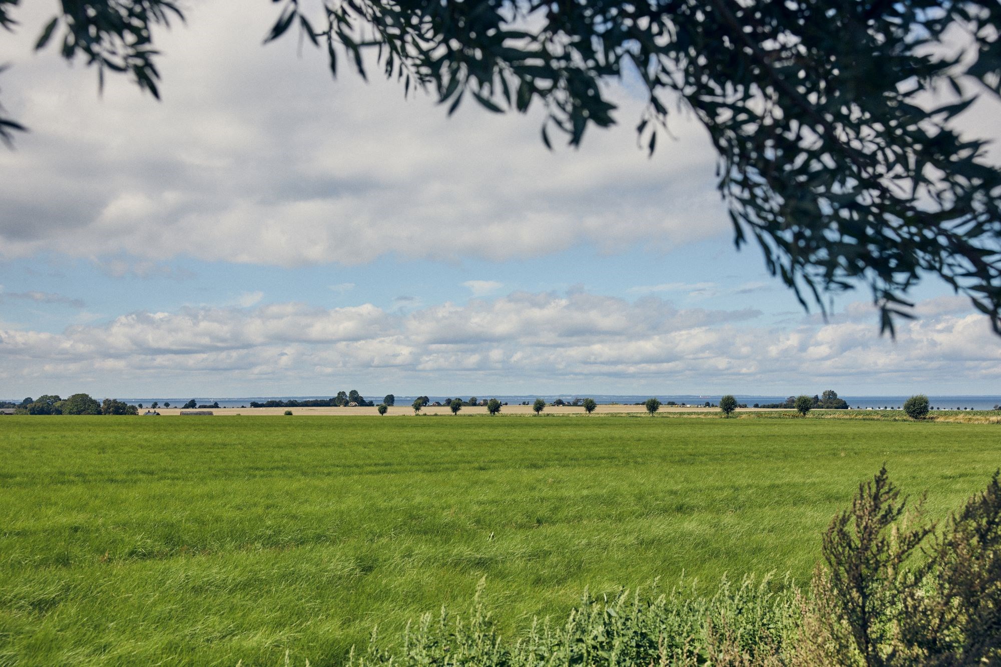 Naturbild med fält och blå himmel