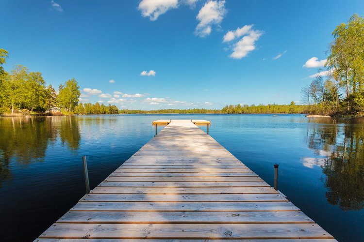 Brygga och sjö i sommarsol